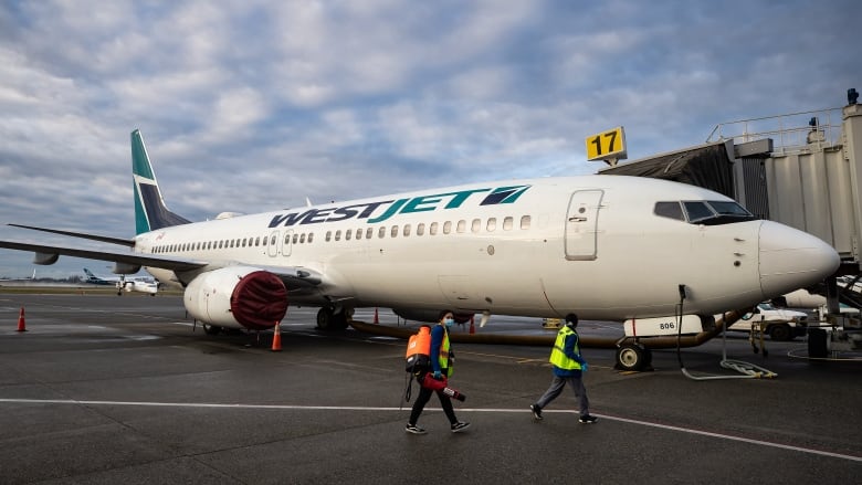 a plane parked at a terminal