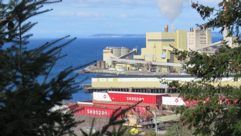 A paper mill with blue water to the left of it. There are trees branches covered in green leaves in the foreground.