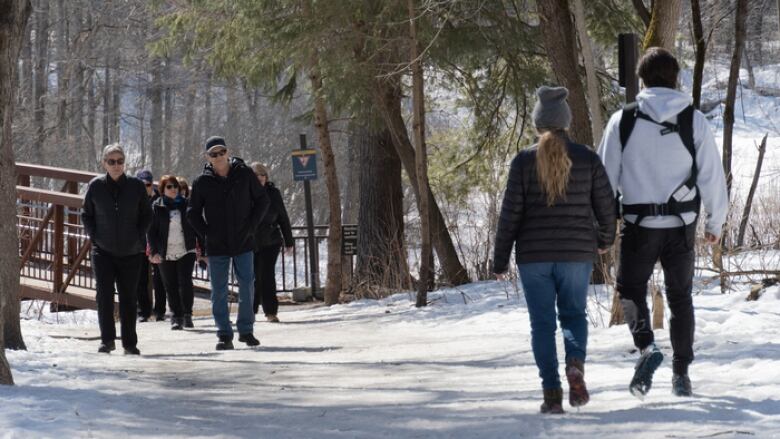 People walk through a forest on a snow-covered path.