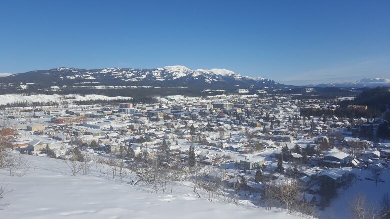 Houses and other buildings covered in snow.