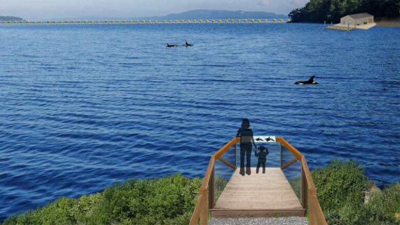 An outlook close to the water, with images of whales added to the water.