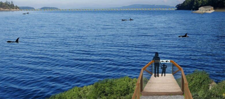 An outlook close to the water, with images of whales added to the water.