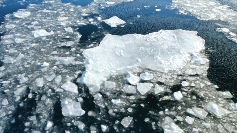 Ice pans in water