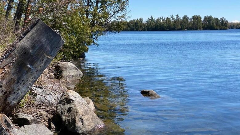 Water and shoreline. 