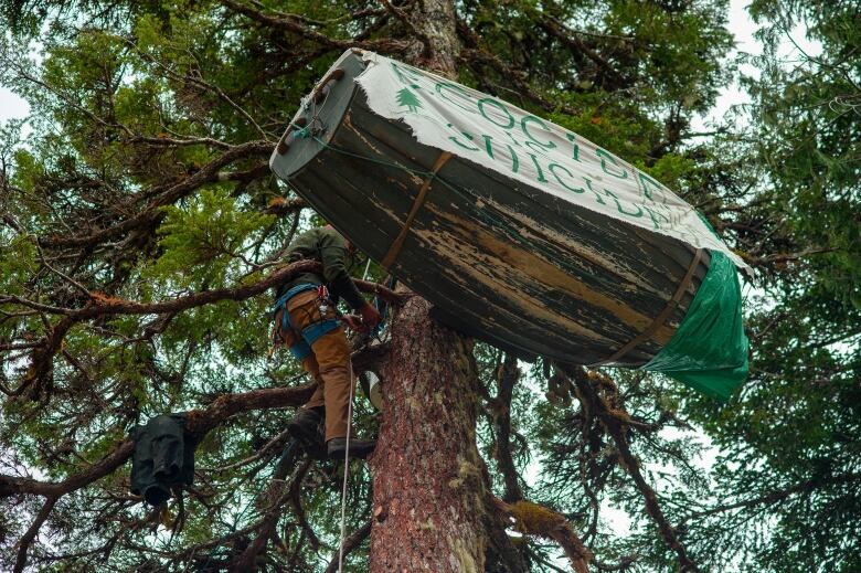 A man climbs a tree to where a small boat is hanging. 