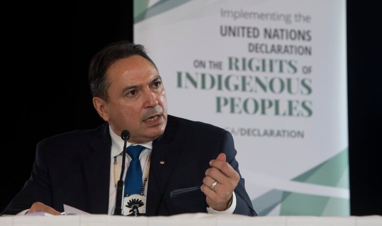 A man wearing a dark suit speaks into a microphone in front of a sign that reads: United Nations Declaration on the Rights of Indigenous Peoples.