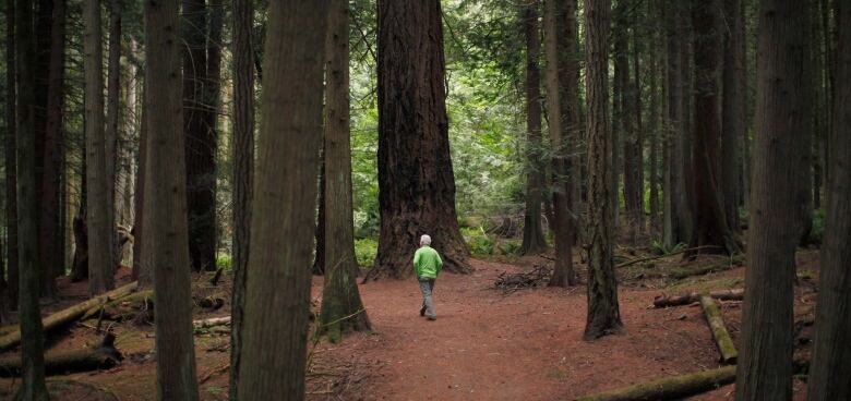 A man in a green shirt walks on a path in a forest.