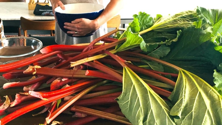 Heap of rhubarb stalks on kitchen counter