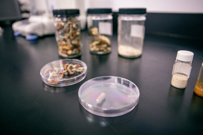 Samples of mushrooms and a small pill capsule.