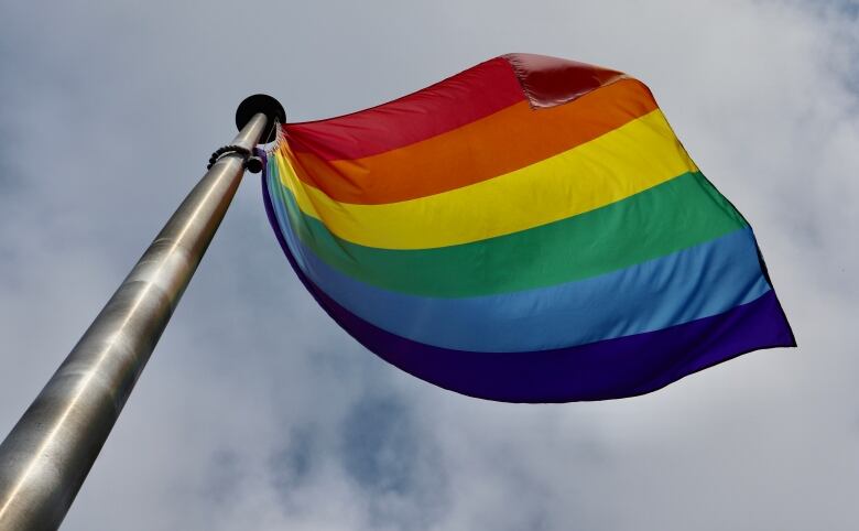 Rainbow flag on flagpole