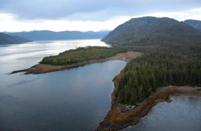 An aerial shot of a piece of land on the ocean.