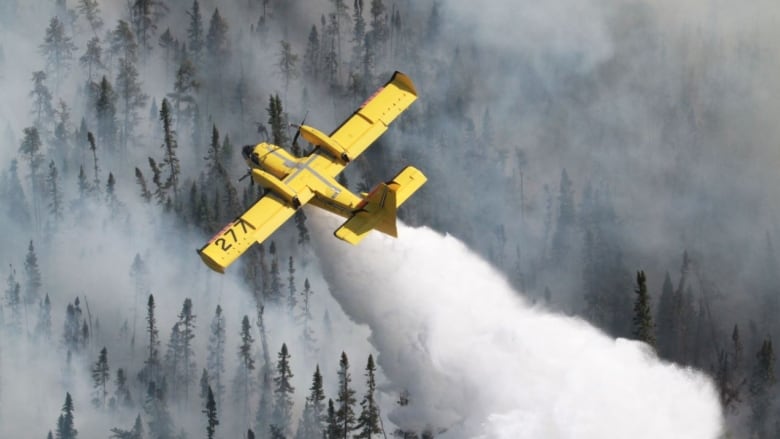 A waterbomber drops water on a forest fire.