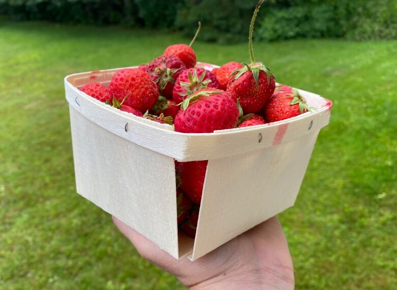 A hand holds a wooden basket full of ripe red strawberries.