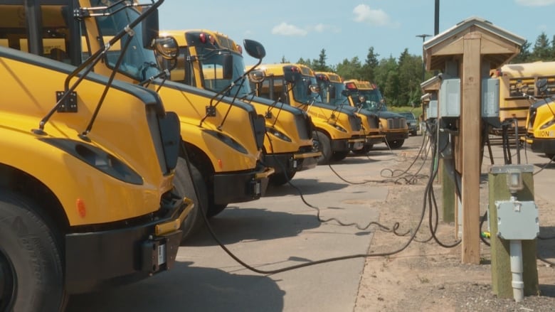 Electric school buses.