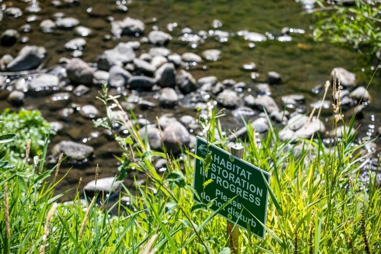 A sunny image of a creek with a sign reading 