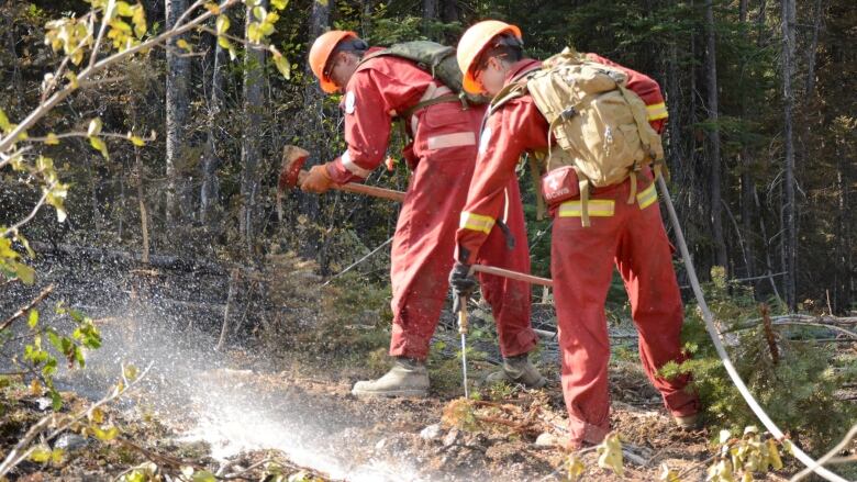 Two firefighters in red suits spray water in a smoky forest.