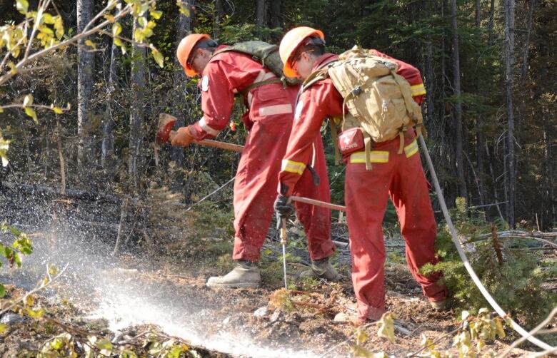 Two firefighters in red suits spray water in a smoky forest.