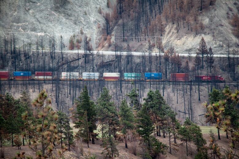 A freight train runs through a track with burned trees on a hilltop.