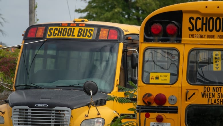 Two parked yellow school buses.