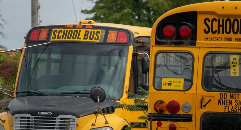 Two parked yellow school buses.