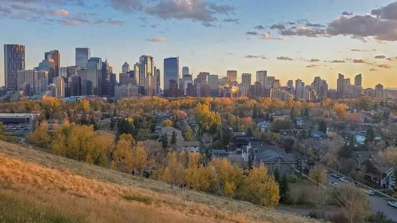 An image of downtown Calgary taken from a distance along a grassy ridge on a fall day. 