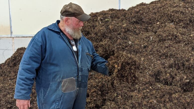 A man stands next to a pile of seaweed holding a handful, looking at it 