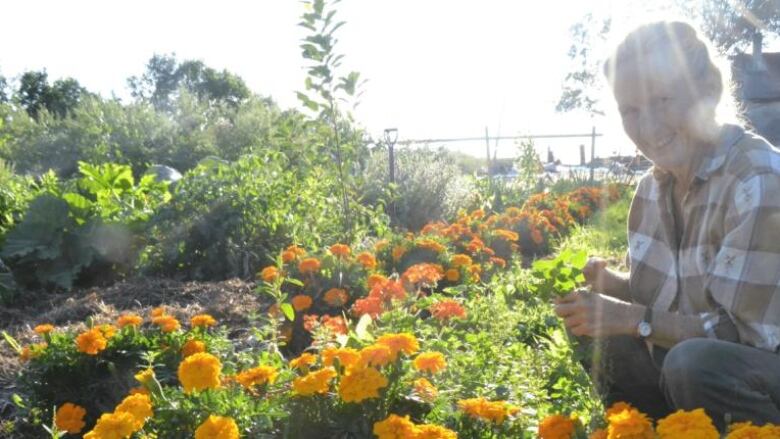 A farmer poses next to a garden.