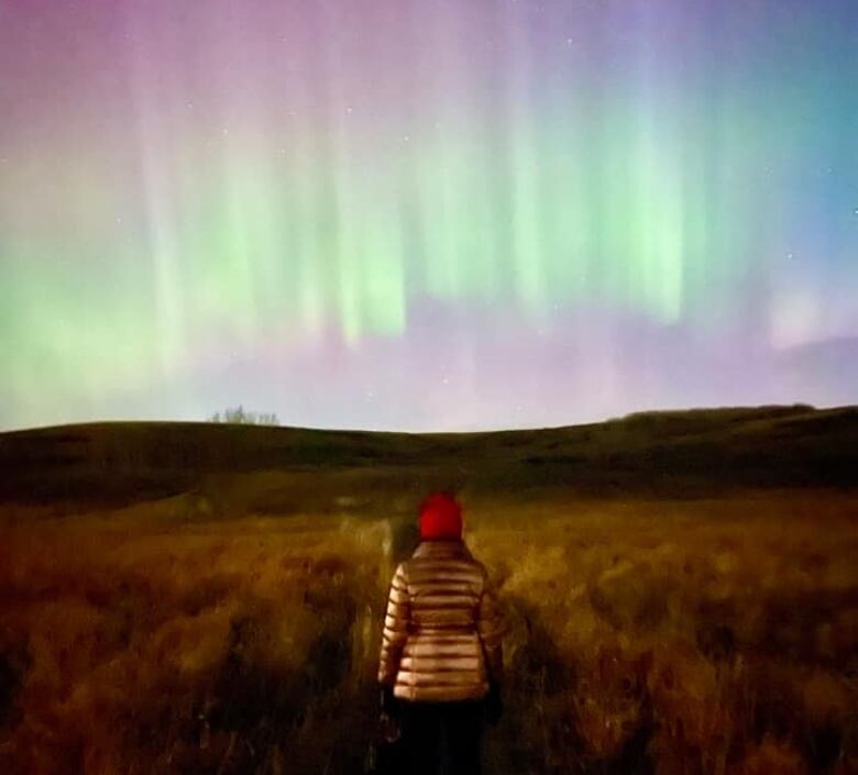 A woman watches the northern lights in a park.