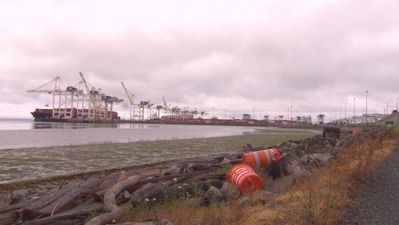 The Port of Vancouver is made up of ports in several Lower Mainland locations, including Delta, Surrey and Vancouver, where roughly three million containers move through annually, and the Roberts Bank expansion will see more than two million more once completed.