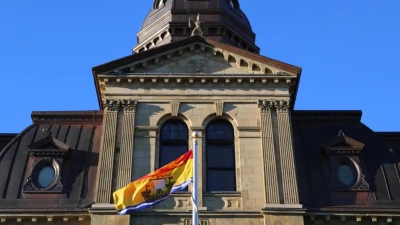 A closeup of the architectural features of an old grey sandstone building with a New Brunswick flag in front.