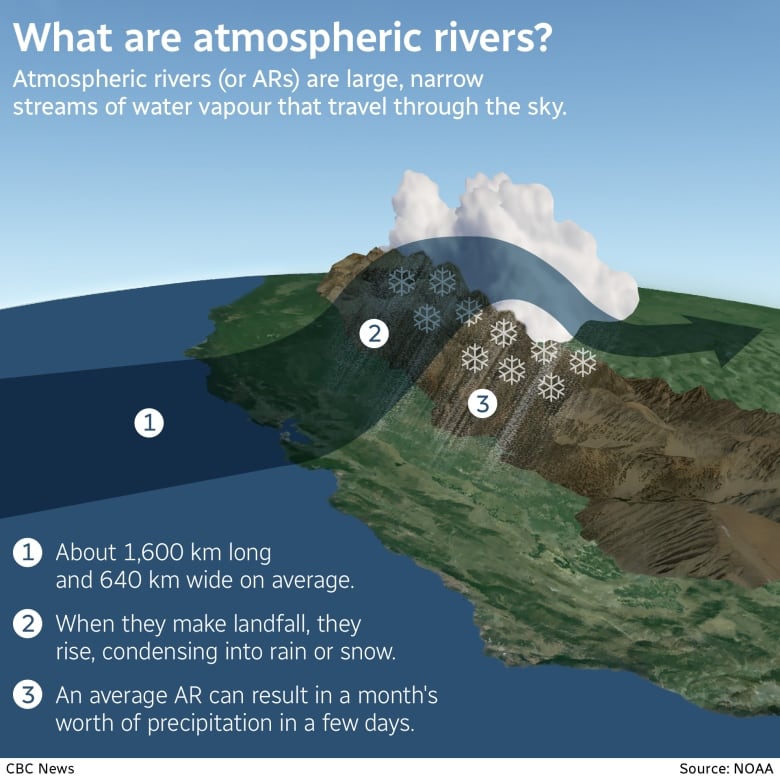 An infographic showing what atmospheric rivers are. They are about 1,600 km long and 640 km wide on average. An average AR can result in a month's worth of precipitation in a few days.