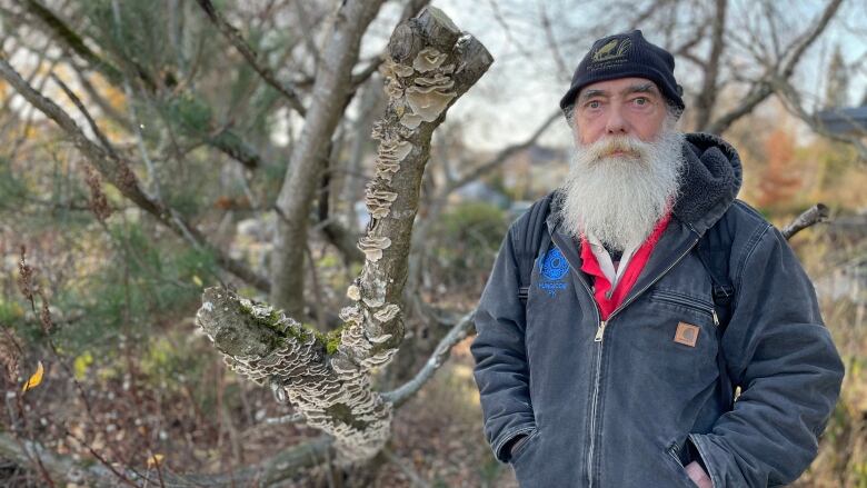 A middle-aged man wearing a black toque, blue jeans and blue denim jacket sports a long white beard and has his hands shoved in his pockets. He is standing next to a tree with fungus on it.