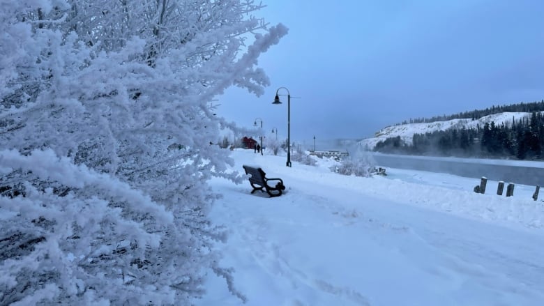 A thick layer of snow covers trees, a bench and walking path. Ice fog raises off a river in the background.