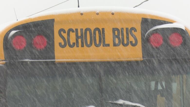 Snow falls across the front of a school bus. The photo shows a close up of the words 