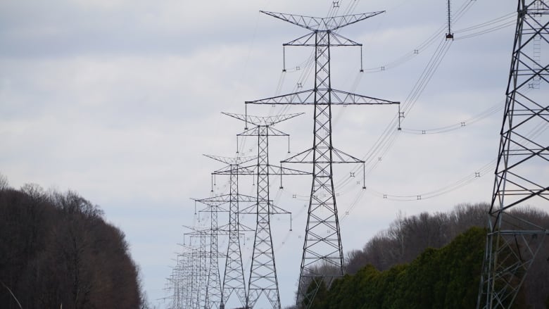 A row of transformers in-between two clusters of trees.