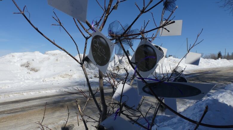 Black balloons hang in a tree