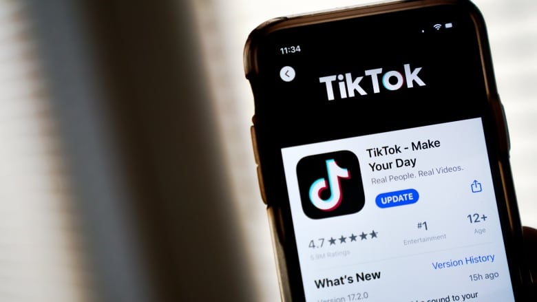 The download page for the TikTok app is displayed on an Apple iPhone.