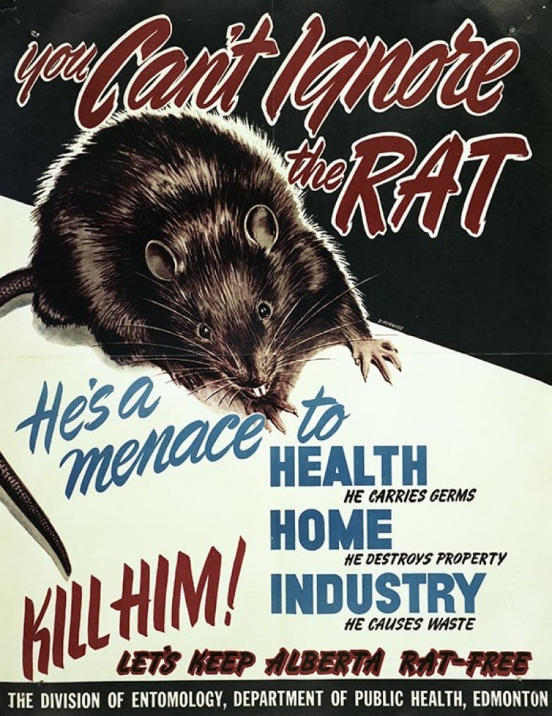 A rat poster in Alberta