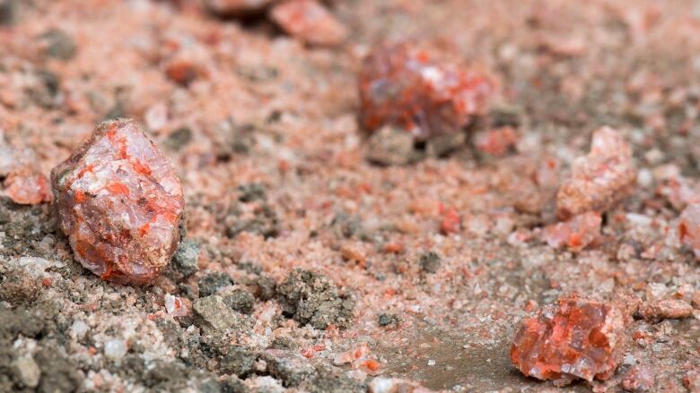 Pieces of potash scattered on a surface.