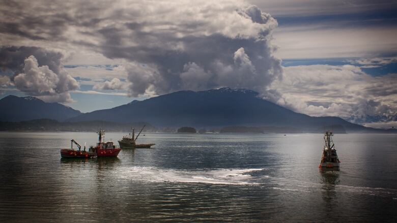 Salmon fishing boats are pictured off the shore of Alaska. 