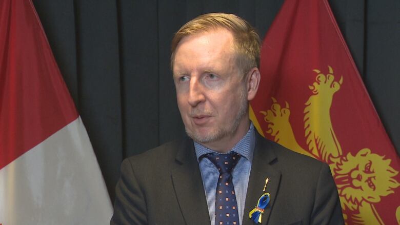 A man in a grey suit stands in front of a grey screen and two flags.