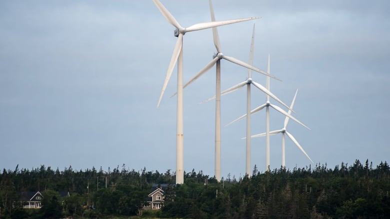 Wind turbines are shown looming above trees and homes.