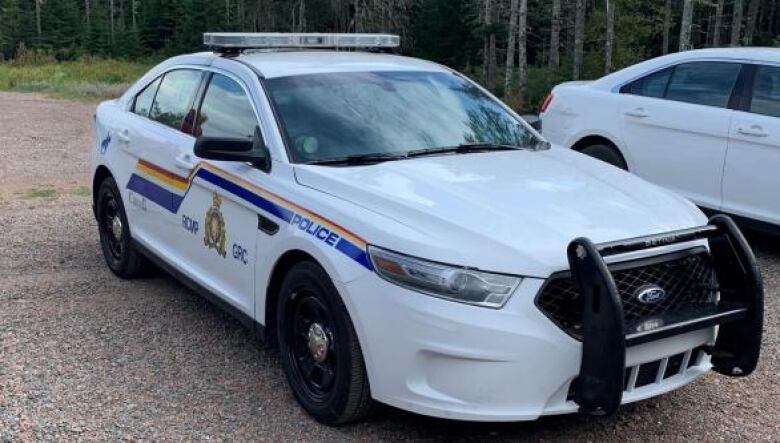 A marked cruiser with red, yellow and blue decals, front push-bar and lights is parked in a gravel driveway pointed toward the camera.