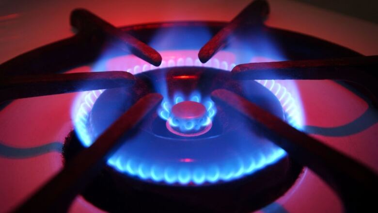 Blue flames rise from the burner of a natural gas stove.