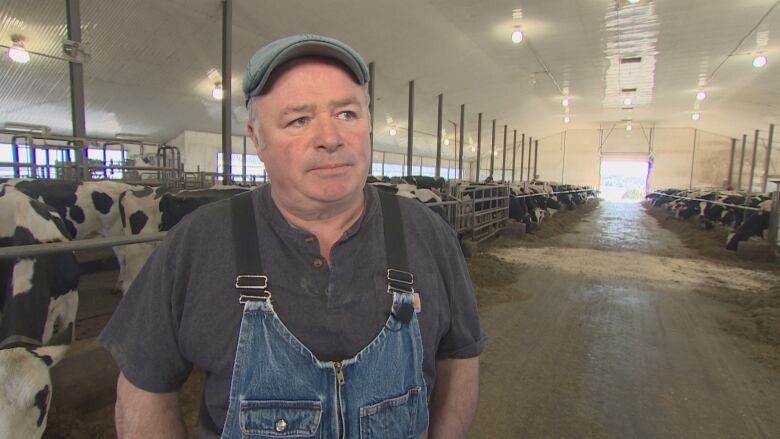 Man in denim overalls standing in barn with cows behind him