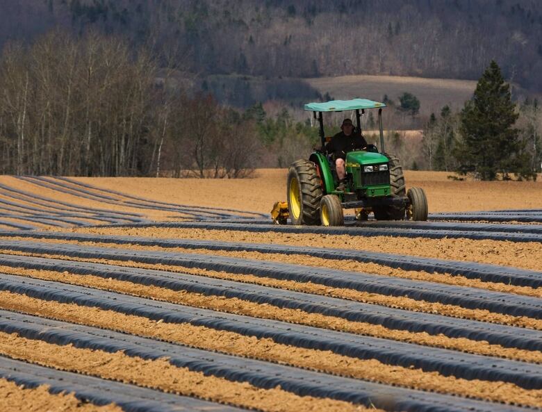 A farmer sits in a tractor that is moving along fields on a farm. The field is split into rows and trees and hills may be seen in the background.