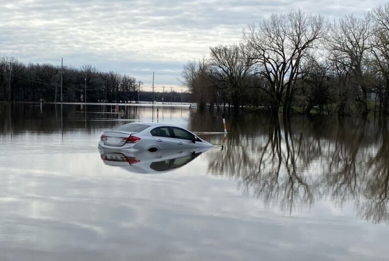 The top and back of a car can be seen above water that surrounds the vehicle on all sides. Some trees can be seen in the distance.