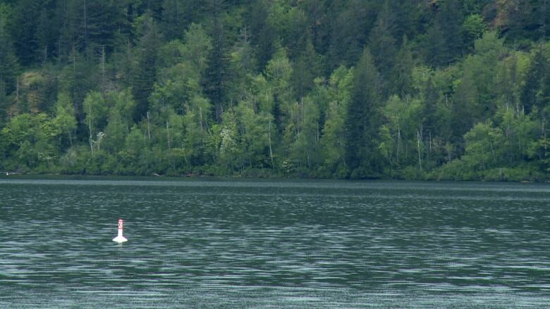 A buoy is seen amidst currents on the waters of Cultus Lake. The shoreline shows rows of trees above the water. 