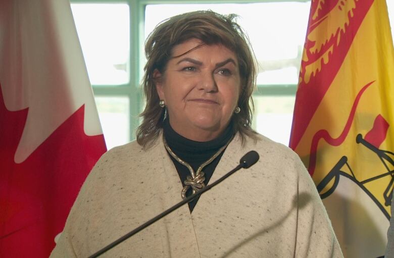 Gudie Hutchings, the minister of rural economic development, at a news conference in Miramichi with flags in the background. 