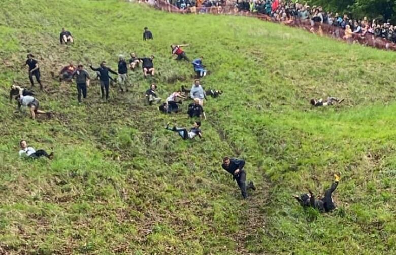 A couple dozen people roll and tumble down a steep grassy hill.